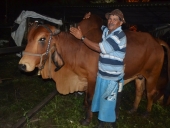 carreiros_santana8
