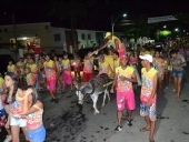 Carnaflores_sab-53