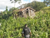 droga_na_serra-14