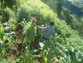droga_na_serra-6