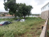 antes_drp-10