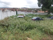antes_drp-11