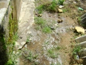 antes_drp-2