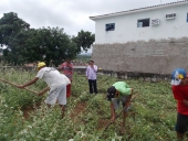 drp_depois-21
