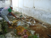 drp_depois-5