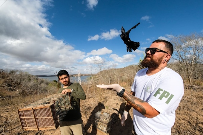 fpi_soltura_animais_2018 (8) fpi_soltura_animais_2018 (8)