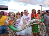 folia-9