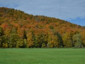 galeria_outuno_eua-12