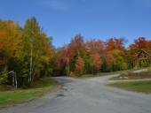 galeria_outuno_eua-14