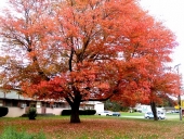 galeria_outuno_eua-15