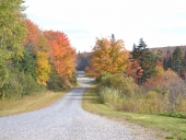 galeria_outuno_eua-2