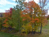 galeria_outuno_eua-6