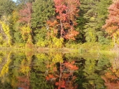 galeria_outuno_eua-8