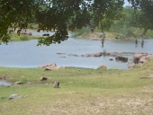 passeio_cachoeiras-19
