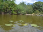 passeio_cachoeiras-27