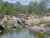 passeio_cachoeiras-5