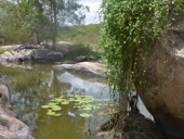 passeio_cachoeiras-7