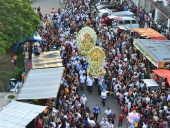 procissao_sanatana_2014-17