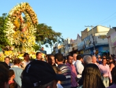 procissao_sanatana_2014-21