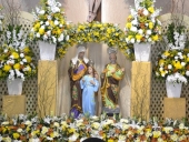 procissao_sanatana_2014-9