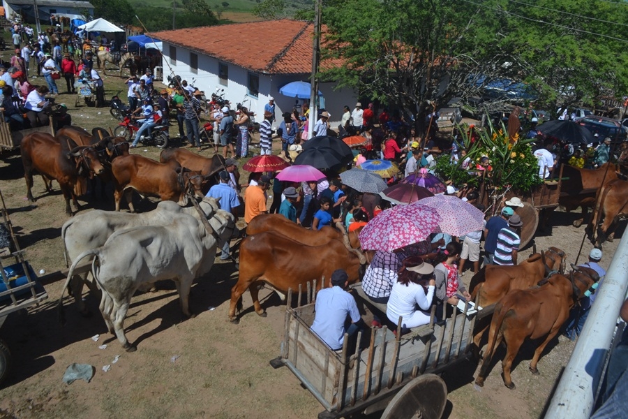 procissao_carreiros_2016 (13)