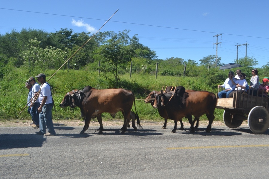 procissao_carreiros_2016 (35)