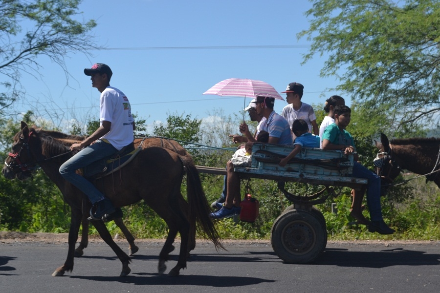 procissao_carreiros_2016 (44)