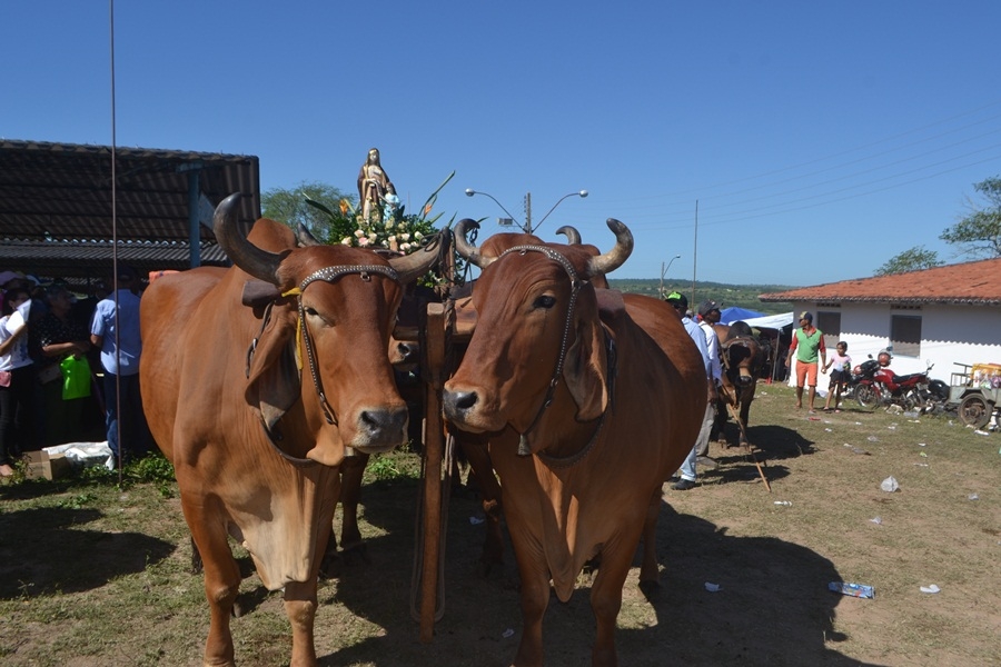 procissao_carreiros_2016 (5)