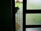 img00128