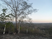 seca_al-10