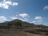 seca_al-2