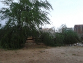 tempestade_pa-2