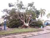 tempestade_pa-3