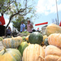 Brasil desperdiça 40 mil toneladas de alimento por dia, diz entidade Brasil desperdiça 40 mil toneladas de alimento por dia, diz entidade