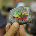 Legalização da maconha: tema polêmico é alvo de debate no Senado