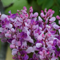 Primavera começa hoje e terá chuvas atípicas Primavera começa hoje e terá chuvas atípicas