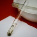 Casos de dengue crescem 264% no Brasil com 229 mil pacientes este ano