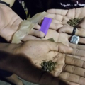 Pesquisa inédita pretende avaliar uso de drogas pelos presos