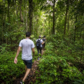Artigo: Turismo de Natureza: O que aprendemos com a pandemia