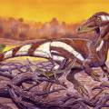 Pesquisadores apresentam fóssil de dinossauro encontrado no Ceará