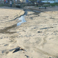 IMA autua Prefeitura de Maragogi e Verde Ambiental por lançamento de efluente no mar