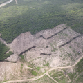 FPI embarga mil hectares de terra por desmatamento de vegetação nativa em AL