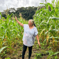 Agricultora comemora colheita de milho com sementes doadas pelo Planta Alagoas