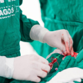 HCA restaura saúde de paciente com mais de 90% de obstrução coronária