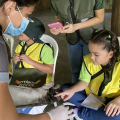 Crianças do Botânico Mirim conhecem o Centro de Triagem de Animais Silvestres